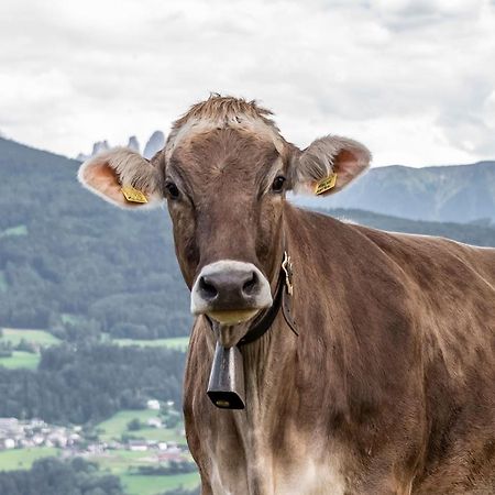 Sigmundhof Villa Brixen Buitenkant foto