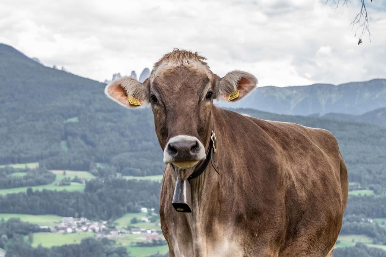 Sigmundhof Villa Brixen Buitenkant foto